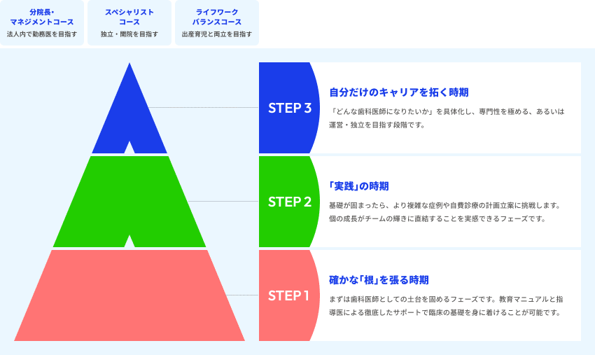 STEP1 確かな「根」を張る時期　STEP2 「実践」の時期　STEP3 自分だけのキャリアを拓く時期